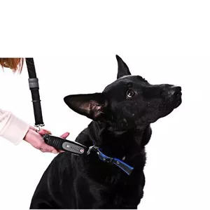 Izpārdošana - ULTRASONIC REMOTE DOGe Walk All-In-One Dog Trainer (ir veikalā)
