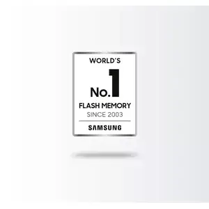 The worlds number one for flash memory