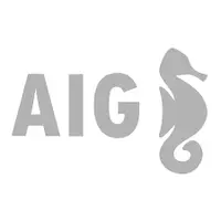 AIG