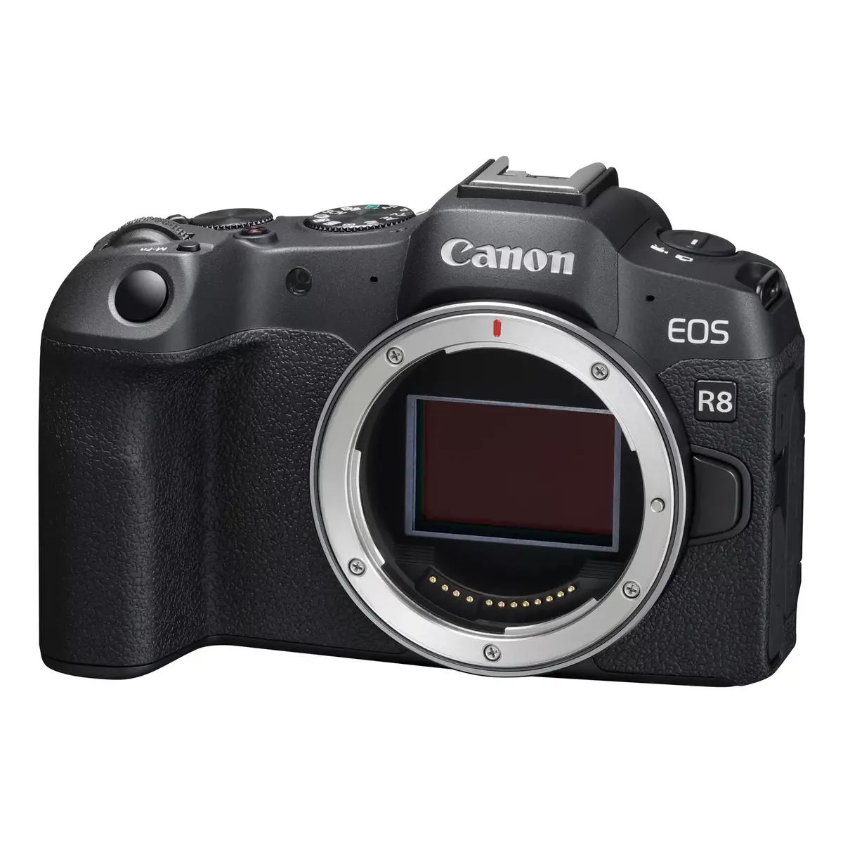 MILC Canon EOS R8 Photo 2