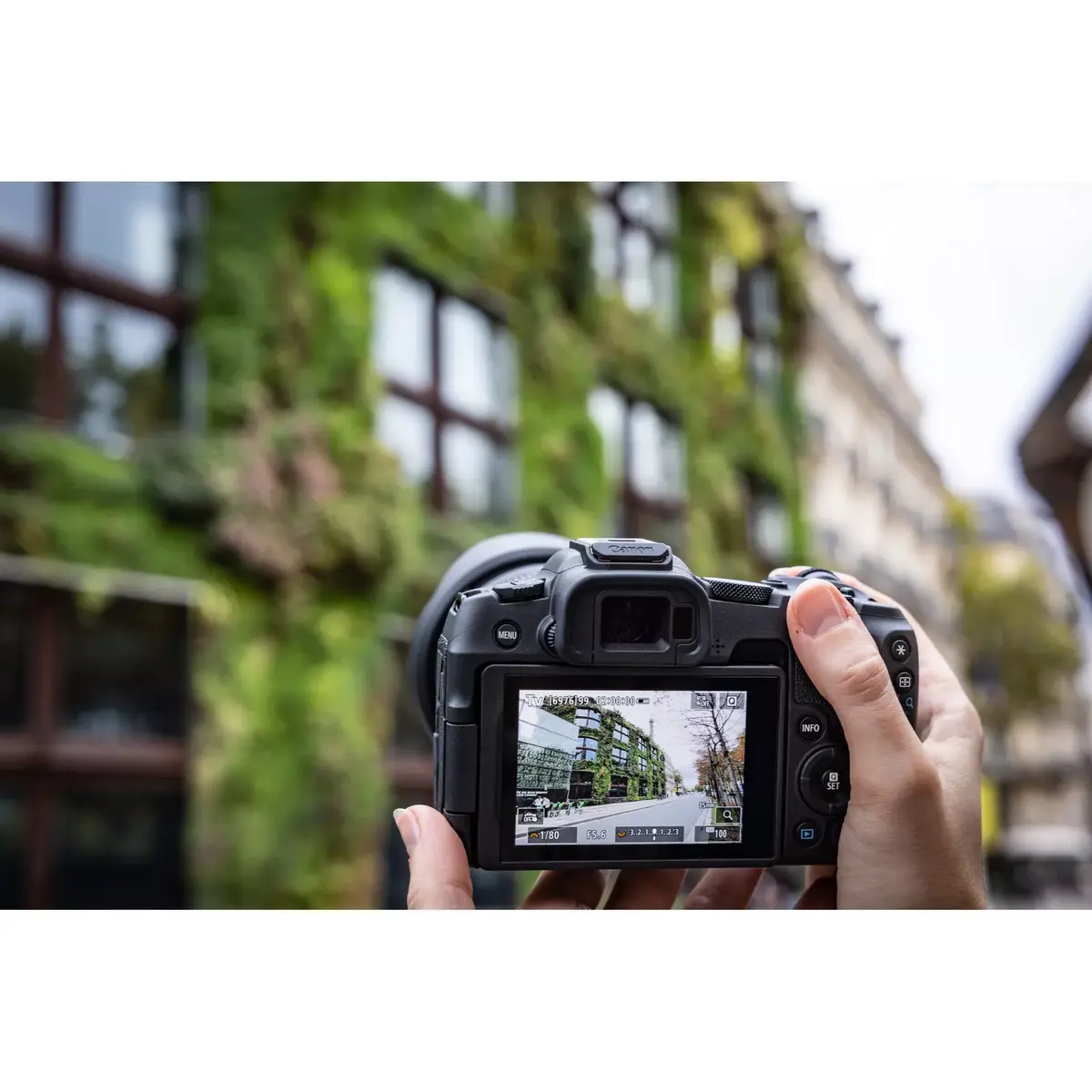 MILC Canon EOS R8 Photo 8