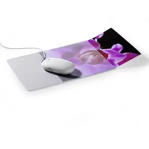 Transparent Durable 5747-19