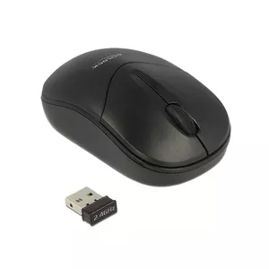 DeLOCK 12494 mouse Ambidextrous RF Wireless Optical 1000 DPI