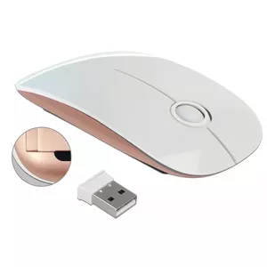 DeLOCK 12536 mouse Ambidextrous RF Wireless Optical 1600 DPI
