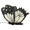3D pildspalva 3DOODLER Create iPRO Photo 2