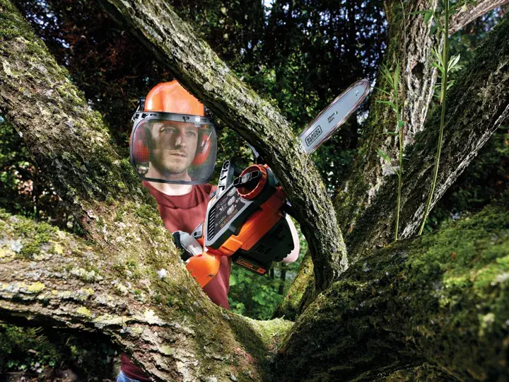 Пила цепная Black & Decker GKC1825L20 Photo 5