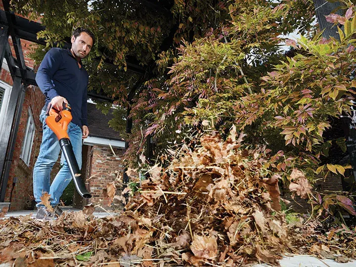 Rokas bezvadu lapu pūtējs Black & Decker GWC1820PC Photo 2