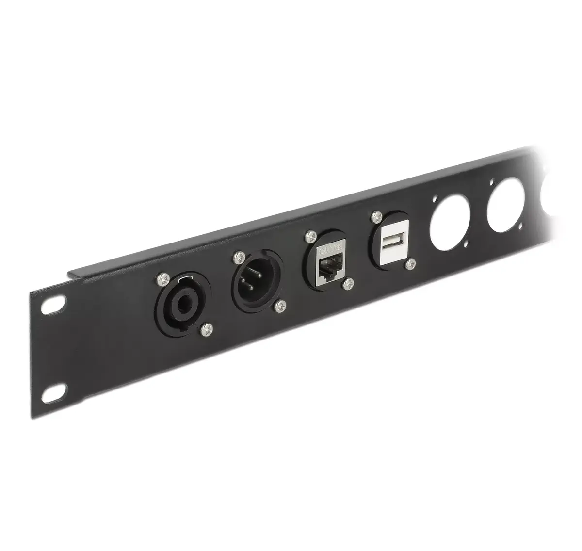 DeLOCK D-Type Module USB 2.0 Type-A female to female Photo 3
