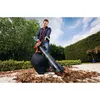 black&decker GW3030-QS Photo 6