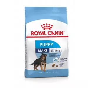 Сухой корм для собак Royal Canin Maxi Puppy 15 кг — для крупных щенков, с курицей, 30% белка, 16% жира