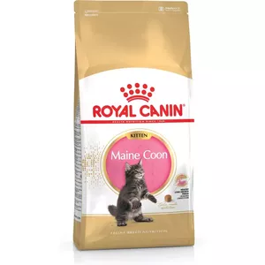 Dry cat food Royal Canin Maine Coon Kitten 400 g — poultry, 36% protein, 23% fat