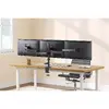 InLine Desktop Bracket 23104B Photo 3