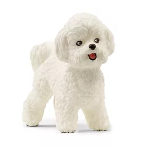 Rotaļlietu figūra Schleich Bichon Frise Balta 13963 Ieteicamais vecums 3+