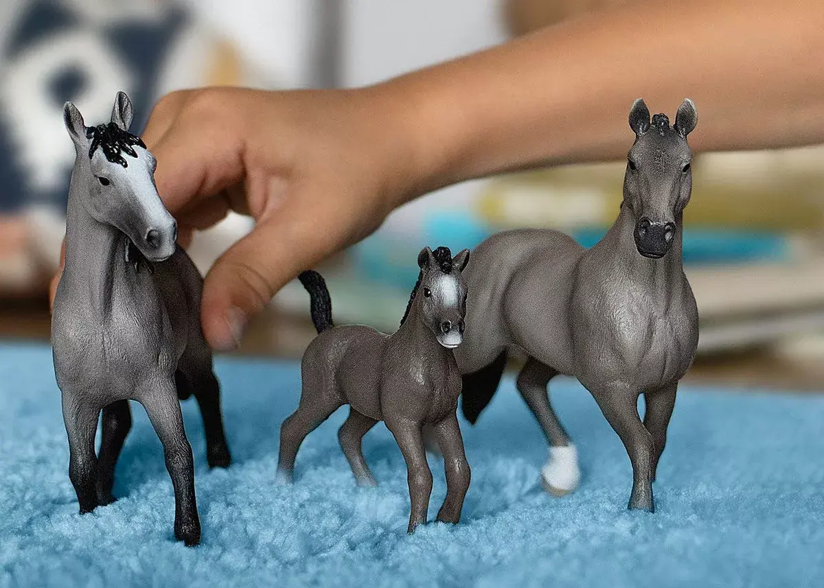 schleich HORSE CLUB Selle Français Kumeļš Photo 2