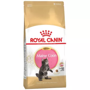 Sausais barības kaķēniem Royal Canin Maine Coon 2 kg — putnu gaļa, olbaltumvielas 36%, tauki 23%
