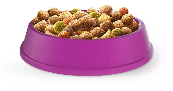 Whiskas сухой корм для кошек Adult Chicken 14 кг Photo 2