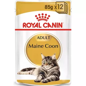Влажный корм для кошек Royal Canin Adult Maine Coon, 85 г, вкус моллюск