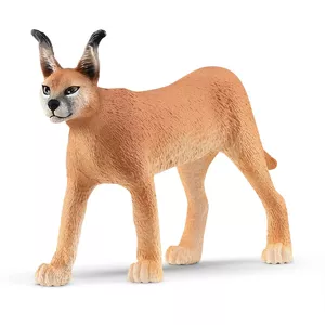 Schleich WILD LIFE Каркал самка 14867S Коричневый 3 года