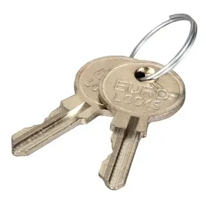 Utility Control Cabinet Key EFB Elektronik 102115