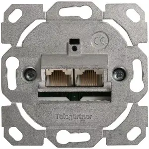 Socket outlet Telegärtner J00020A0388 Silver