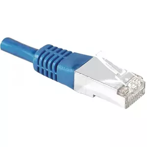 Networking Cable Dexlan RJ-45 Cat6 M/M 3m