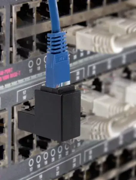 Cable Gender Changer Renkforce RF-4087413 Photo 2