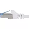 Networking Cable Renkforce RF-4149834 Photo 2