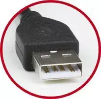 USB кабель Gembird CCP-MUSB2-AMBM-0.5M Photo 2