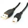 USB Cable, Gembird 4.5m, CCP-USB2-AMBM-15 Photo 2