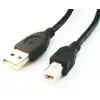 USB kabelis Gembird CCP-USB2-AMBM-6 Photo 2