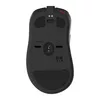 Pele BenQ EC3-CW Photo 2