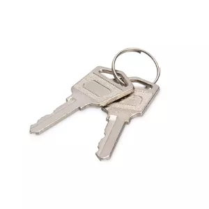 Locking key Digitus DN-45000-KEY Silver 2 pcs