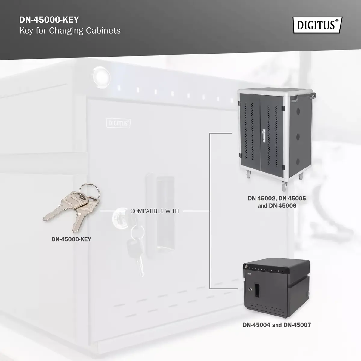 Aizslēdzamais atslēga Digitus DN-45000-KEY Photo 2