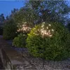 LED наружные огни Star Trading Firework Solar 60 см Photo 2