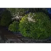 LED наружные огни Star Trading Firework Solar 60 см Photo 3
