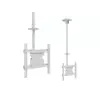 Piekaramais stiprinājums Multibrackets M Public Ceilingmount Medium Single White 3000 Photo 2