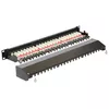 Patch panelis 1U DeLOCK 43320 Photo 2