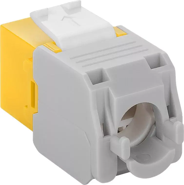 Keystone modulis RJ45 CAT 6A UTP Goobay 90691 Photo 2