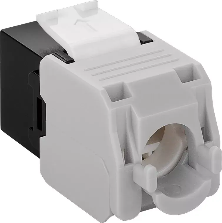 Keystone modulis RJ45 CAT 6A Goobay 90692 Photo 2