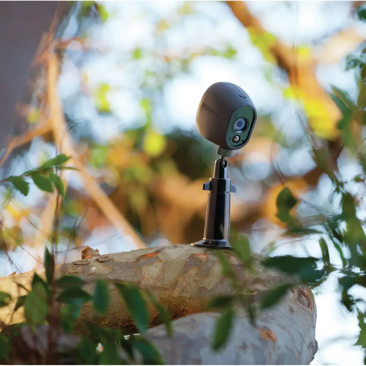 Mount Arlo VMA1000B-10000S Photo 3