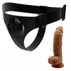 Dildo Harness Pretty Love Michael Photo 4