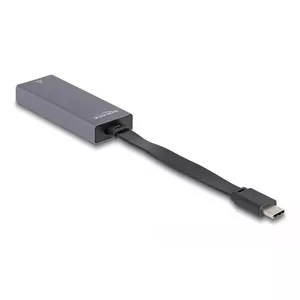 DeLOCK 66248 cable gender changer RJ-45 USB C Grey 0.09m
