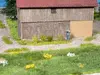 Травяные пучки NOCH Grass Tufts XL, 84 шт. Photo 2