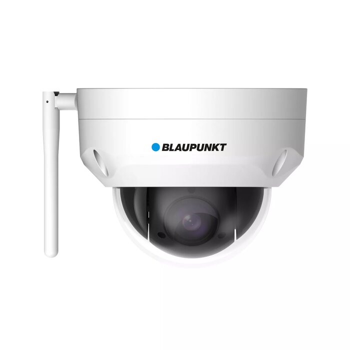 IP Cameras