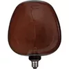 Dekoratīvā LED spuldze Star Trading Cognac Apple E27 Photo 2
