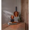Dekoratīvā LED spuldze Star Trading Cognac Apple E27 Photo 6