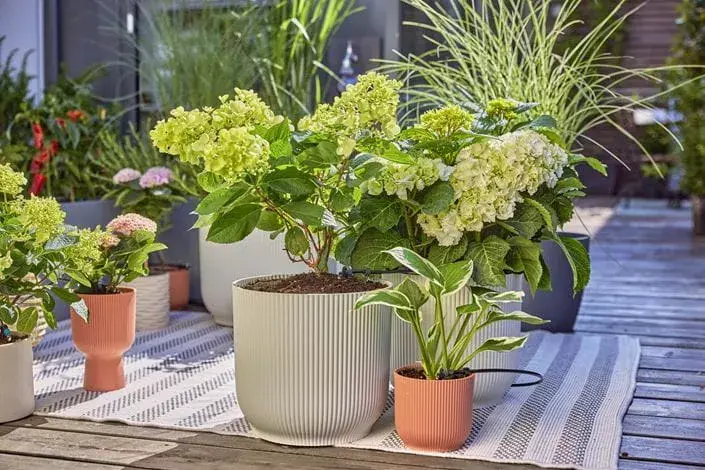 Pilienu laistīšanas sistēma Gardena 13400-20 Photo 3