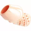 Penis Enhancer Pretty Love Matias Natural Photo 6