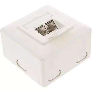 Wall outlet box InLine Cat.6 2x RJ45 horizontal — surface or flush mount