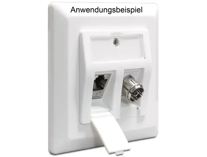 Outlet Box DeLOCK 86202 Photo 3